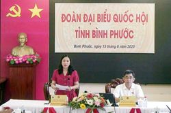 Chống tham nhũng, lợi ích nhóm trong xây dựng chính sách