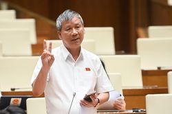 ĐBQH Nguyễn Anh Trí: Việt Nam bờ biển dài nhưng vẫn phải nhập khẩu muối