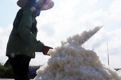 ĐBQH Nguyễn Anh Trí: Vì sao Việt Nam có bờ biển dài nhưng vẫn phải nhập khẩu muối?