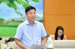 Sửa luật, khắc phục tình trạng 'quân xanh, quân đỏ' khi đấu giá tài sản