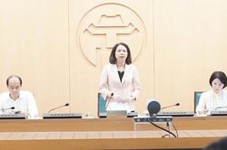 Hà Nội: Triển khai đồng bộ các biện pháp phòng chống dịch sốt xuất huyết