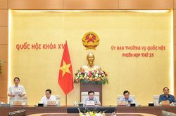 Đề xuất hủy kết quả, cấm tham gia đấu giá nếu trúng giá nhưng không thực hiện nghĩa vụ tài chính