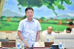 Còn tình trạng thông đồng, móc nối, lợi dụng các tổ chức 'sân sau' để đấu giá