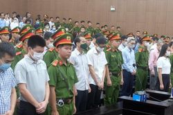Cử tri đánh giá cao việc xét xử công khai, nghiêm minh vụ 'chuyến bay giải cứu'
