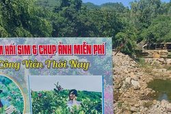 Đà Nẵng tạm dừng hoạt động khu du lịch có trẻ bị đuối nước