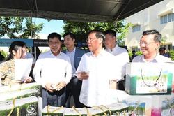 Cần Giờ là 'gạch nối' quan trọng trong hành lang ven biển