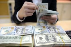 Giá USD quay đầu sau khi lên sát mốc 24.200 đồng