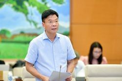 Còn biểu hiện thông đồng, lợi dụng các tổ chức 'sân sau' để đấu giá