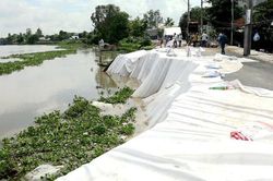 An Giang tập trung ứng phó sạt lở, biến đổi khí hậu