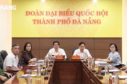 Chất vấn những vấn đề trọng tâm của ngành tư pháp, nông nghiệp và phát triển nông thôn