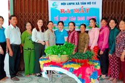 Ra mắt Tổ hợp tác trồng rau sạch tại xã biên giới