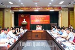 Ban Thường vụ Tỉnh ủy cho ý kiến vào báo cáo sơ kết giữa nhiệm kỳ 2020-2025