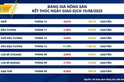 Giá ngô nhập khẩu về Việt Nam giảm khi giá nông sản thế giới lao dốc