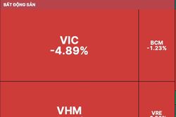 VIC, VHM quay đầu giảm sâu