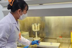 TP.HCM thu thập 'dữ liệu sống' về sức khỏe người dân