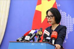 Công tác bảo hộ công dân Việt Nam trong vụ sạt lở đất tại tỉnh Khammuan, Lào