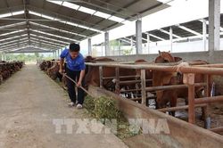 Liên kết ứng dụng công nghệ số trong nông nghiệp