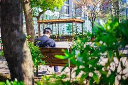1/3 đàn ông Nhật Bản sẽ không kết hôn: Nguyên nhân do đâu?