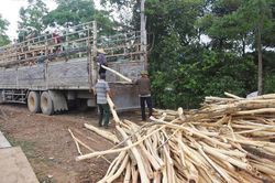 Cơ quan thuế phân trần lý do chậm hoàn thuế VAT