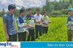 Hệ thống khuyến nông đóng góp tích cực trong tiến trình đổi mới của ngành nông nghiệp Quảng Trị
