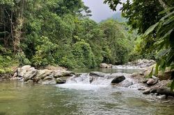 Mojen Camp & Retreat - Nơi chữa lành từ tự nhiên