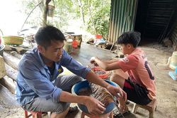 Ống xả thải của xưởng sơ chế giun đất được ngụy trang dưới nhiều lớp cây khô