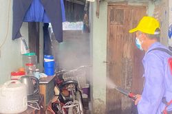 Đan Phượng ghi nhận sốt xuất huyết tại 16/16 xã, thị trấn