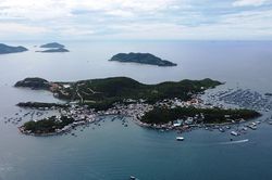 Tăng cường phục hồi, bảo tồn hệ sinh thái trong vịnh Nha Trang