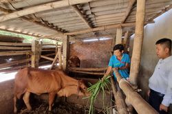 Quảng Ngãi: Huyện Tư Nghĩa thực hiện có hiệu quả công tác giảm nghèo