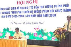Triển khai Chương trình phát triển hệ thống phục hồi chức năng