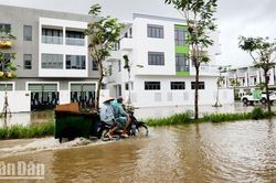 Kiên Giang chủ động ứng phó mưa lớn, giảm thiểu thiệt hại về người và tài sản