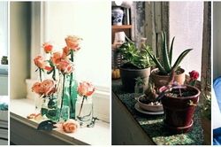 Cách trang trí cửa sổ thành góc thư giãn đẹp như thơ