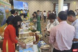 Các tỉnh thành Đồng bằng sông Cửu Long xúc tiến, quảng bá du lịch với các tỉnh, thành miền Trung