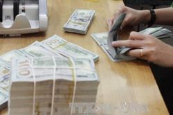 Giá USD hôm nay 18/8