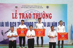 Pleiku giành giải nhất toàn đoàn tại Giải Vô địch Taekwondo tỉnh Gia Lai