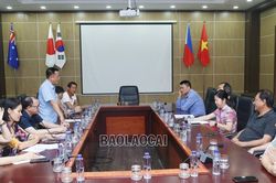Liên đoàn Bóng chuyền Việt Nam kiểm tra các điều kiện chuẩn bị cho VTV Cup 2023 tại Lào Cai