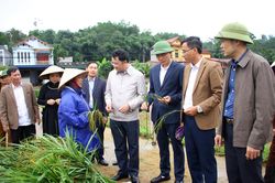 Ôn Lương vững bước đi lên