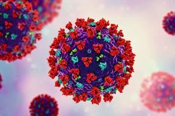 WHO theo dõi biến thể mới BA.2.86 do chứa số lượng đột biến gene virus lớn