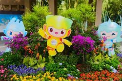 Hai nội dung thi đấu tại Asian Games bị hủy bỏ
