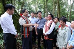 Phát huy mạnh mẽ liên kết '6 nhà' để cộng hưởng sức mạnh phát triển ngành công nghiệp sâm