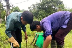 Cơ sở sơ chế giun đất gây ô nhiễm môi trường tại huyện Si Ma Cai