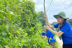 Thước phim đáng nhớ nhất