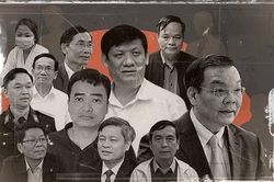 Cựu Trợ lý Phó Thủ tướng can thiệp giúp Việt Á như thế nào?