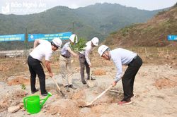 Công ty Thủy điện Bản Vẽ hướng tới môi trường làm việc 'Xanh - sạch - đẹp - an toàn'