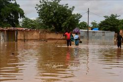 Lũ lụt tại Niger làm 27 người thiệt mạng