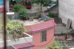 Con gái bị bắt cóc lúc 3 tuổi, 17 năm sau gia đình bàng hoàng phát hiện con đang sống ở bên kia đường