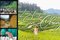 Lưu luyến Sín Chéng