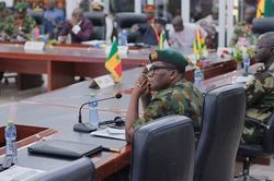 Phái đoàn ECOWAS đã gặp Tổng thống bị phế truất của Niger