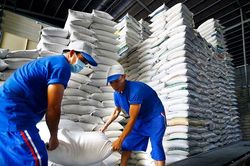 Gạo Việt vượt qua Thái Lan, lập kỷ lục giá cao nhất thế giới