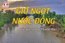 Đọc truyện đêm khuya: Gió ngọt nước đồng
